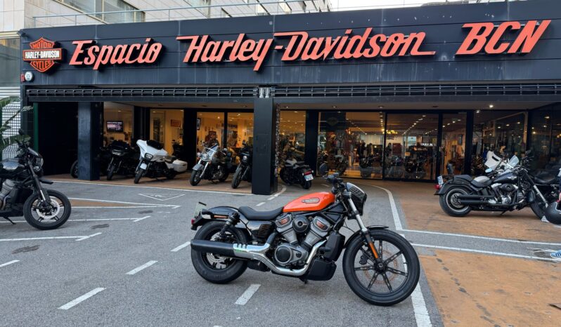 NIGHTSTER STD – 2022