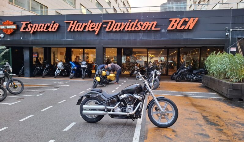 SOFTAIL STANDARD 107 – 2022