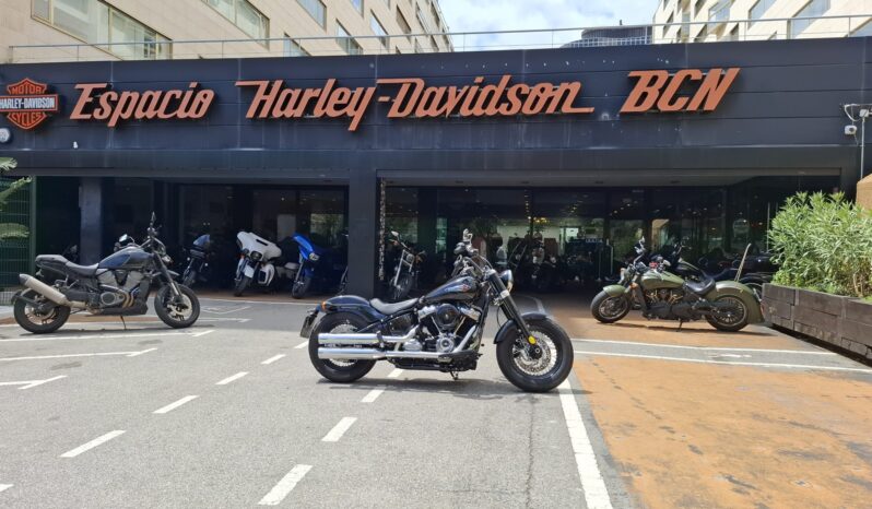 SOFTAIL SLIM 107 – 2020