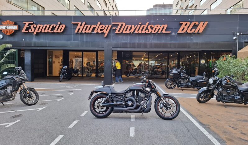 NIGHT ROD SPECIAL – 2014