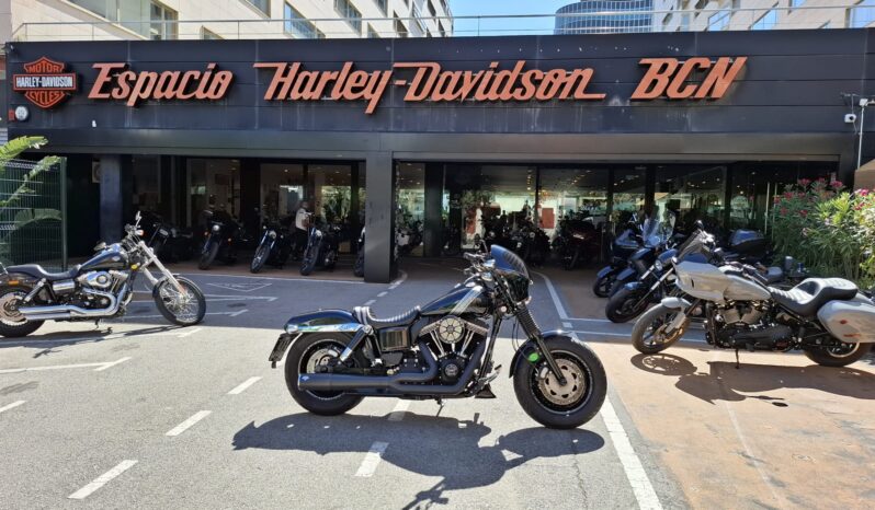 DYNA FAT BOB – 2014