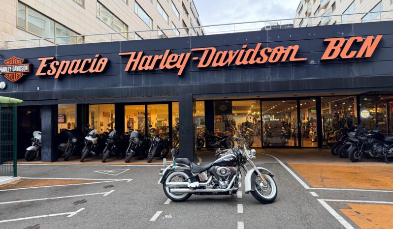 FLSTN SOFTAIL DELUXE – 2013