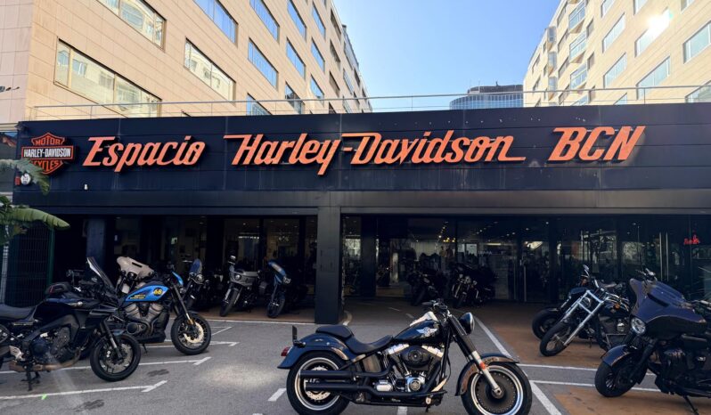 FAT BOY SPC – 2009